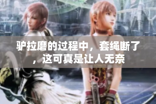 驴拉磨的过程中，套绳断了，这可真是让人无奈