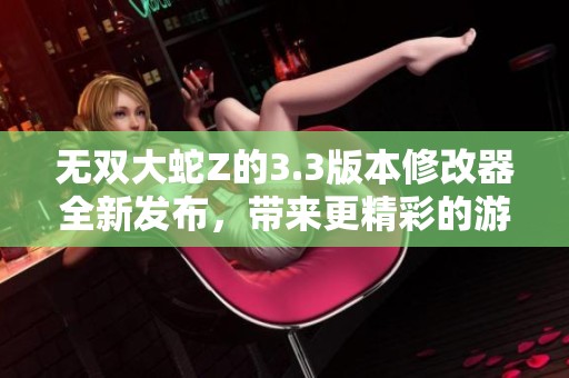 无双大蛇Z的3.3版本修改器全新发布，带来更精彩的游戏体验
