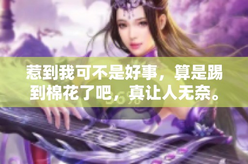惹到我可不是好事，算是踢到棉花了吧，真让人无奈。