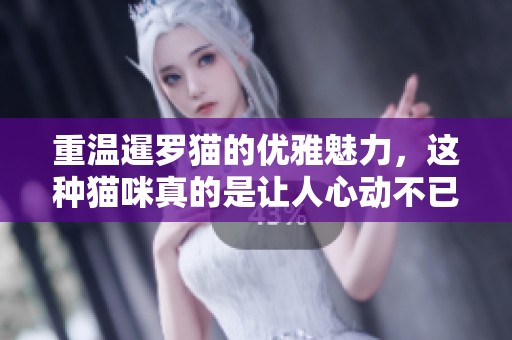重温暹罗猫的优雅魅力，这种猫咪真的是让人心动不已