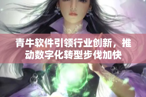 青牛软件引领行业创新，推动数字化转型步伐加快