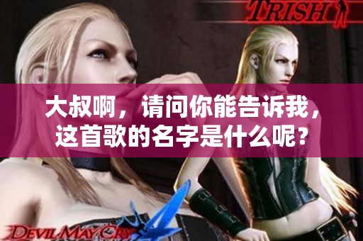 大叔啊，请问你能告诉我，这首歌的名字是什么呢？