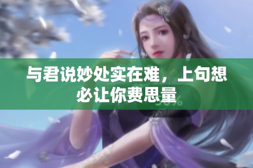 与君说妙处实在难，上句想必让你费思量