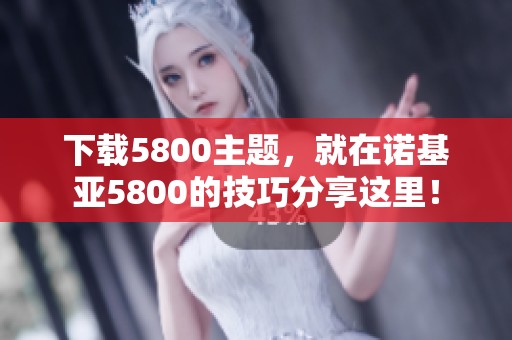 下载5800主题，就在诺基亚5800的技巧分享这里！