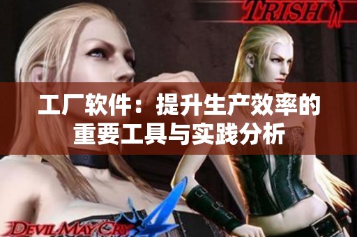 工厂软件：提升生产效率的重要工具与实践分析