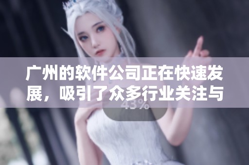 广州的软件公司正在快速发展，吸引了众多行业关注与参与