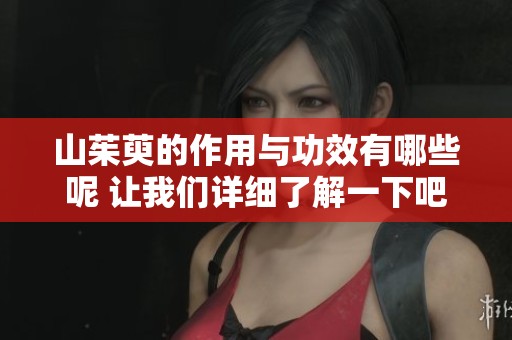 山茱萸的作用与功效有哪些呢 让我们详细了解一下吧