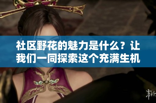 社区野花的魅力是什么？让我们一同探索这个充满生机的地方