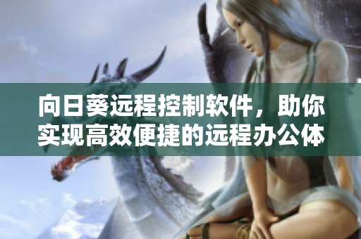 向日葵远程控制软件，助你实现高效便捷的远程办公体验