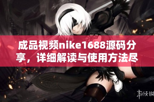成品视频nike1688源码分享，详细解读与使用方法尽在其中