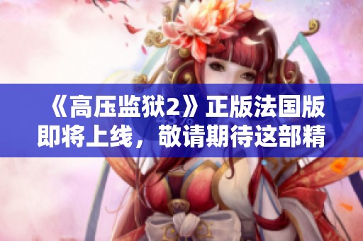 《高压监狱2》正版法国版即将上线，敬请期待这部精彩作品