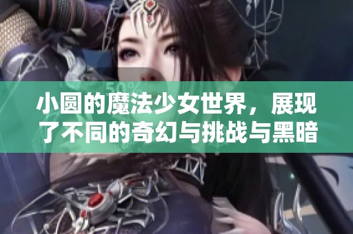 小圆的魔法少女世界，展现了不同的奇幻与挑战与黑暗的命运之战