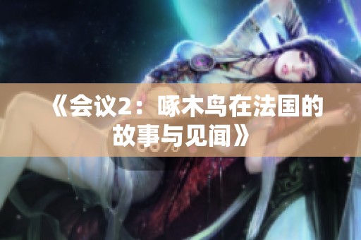 《会议2：啄木鸟在法国的故事与见闻》