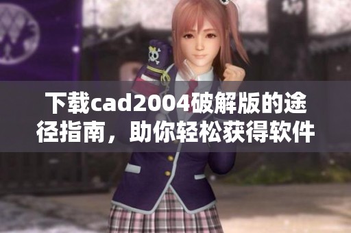 下载cad2004破解版的途径指南，助你轻松获得软件使用权限的方法