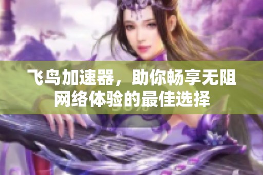 飞鸟加速器，助你畅享无阻网络体验的最佳选择