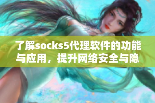 了解socks5代理软件的功能与应用，提升网络安全与隐私保护的技巧