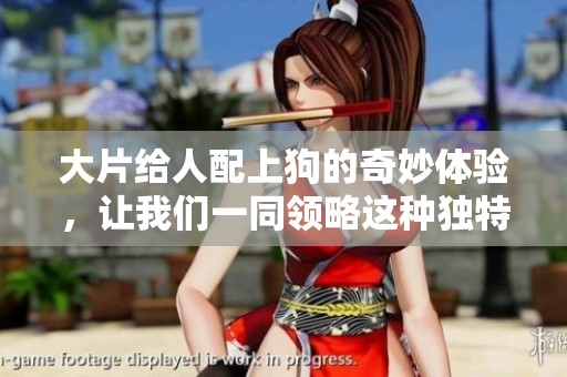 大片给人配上狗的奇妙体验，让我们一同领略这种独特的魅力