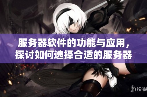 服务器软件的功能与应用，探讨如何选择合适的服务器软件