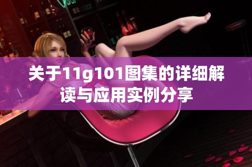 关于11g101图集的详细解读与应用实例分享