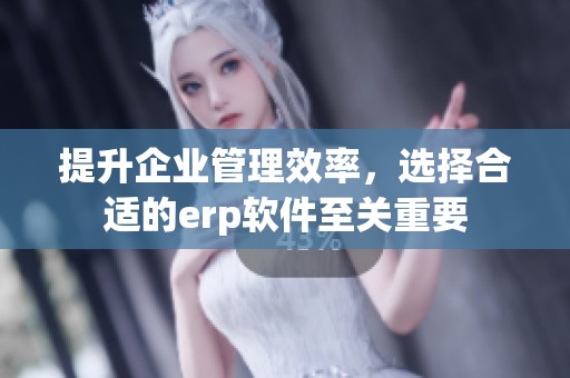 提升企业管理效率，选择合适的erp软件至关重要