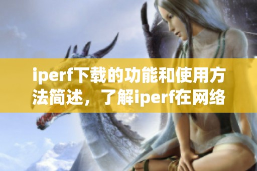 iperf下载的功能和使用方法简述，了解iperf在网络测评中的重要性