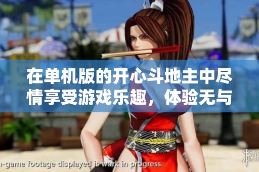 在单机版的开心***中尽情享受游戏乐趣，体验无与伦比的***快乐！
