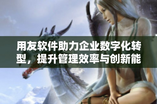 用友软件助力企业数字化转型，提升管理效率与创新能力