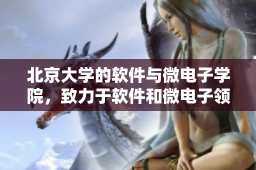 北京大学的软件与微电子学院，致力于软件和微电子领域的研究与教育。