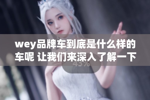 wey品牌车到底是什么样的车呢 让我们来深入了解一下这个品牌