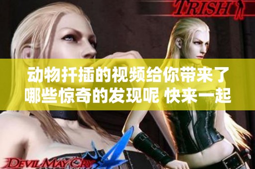 动物扦插的视频给你带来了哪些惊奇的发现呢 快来一起欣赏吧