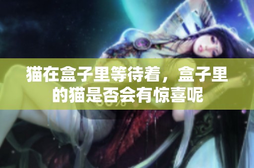 猫在盒子里等待着，盒子里的猫是否会有惊喜呢