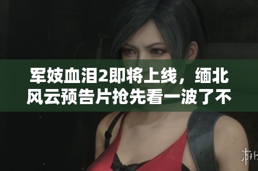军妓血泪2即将上线，缅北风云预告片抢先看一波了不起的故事