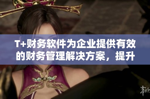 T+财务软件为企业提供有效的财务管理解决方案，提升财务工作效率。