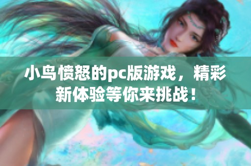 小鸟愤怒的pc版游戏，精彩新体验等你来挑战！