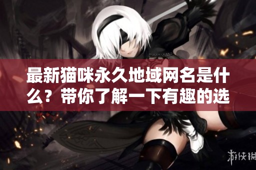 最新猫咪永久地域网名是什么？带你了解一下有趣的选择！