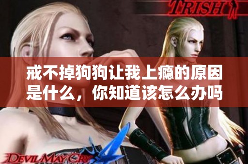 戒不掉狗狗让我上瘾的原因是什么，你知道该怎么办吗