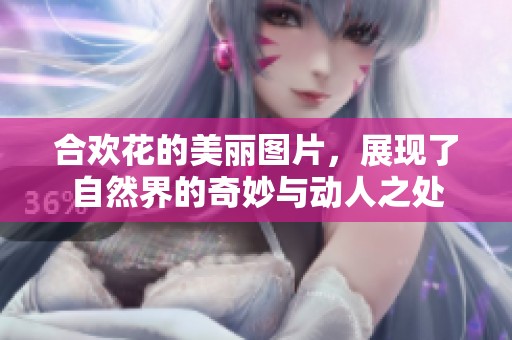 合欢花的美丽图片，展现了自然界的奇妙与动人之处