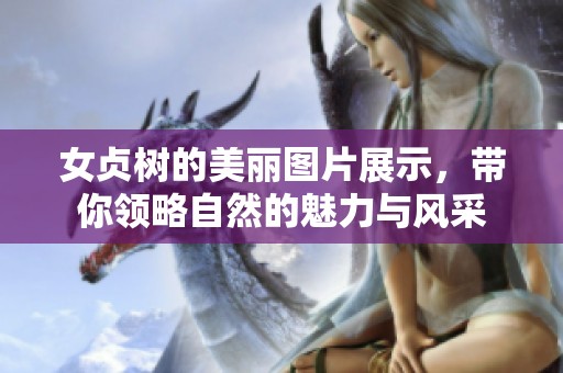 女贞树的美丽图片展示，带你领略自然的魅力与风采