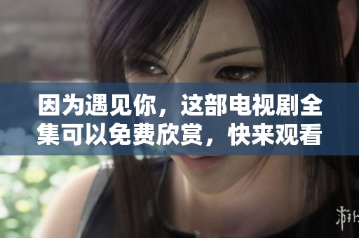 因为遇见你，这部电视剧全集可以免费欣赏，快来观看吧