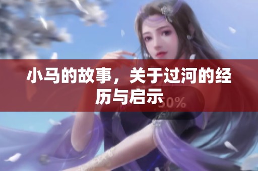 小马的故事，关于过河的经历与启示