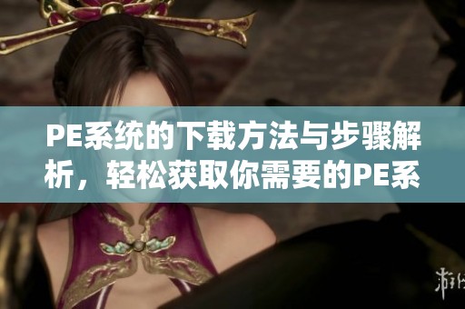 PE系统的下载方法与步骤解析，轻松获取你需要的PE系统下载资源