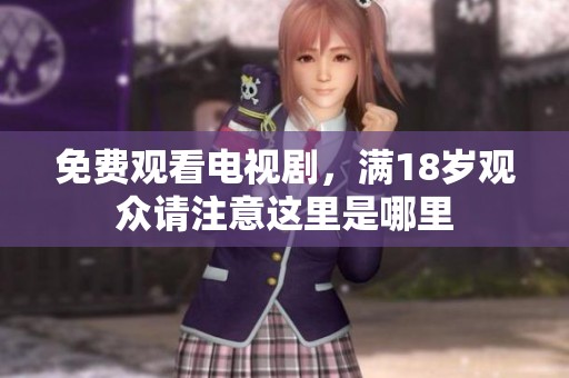 免费观看电视剧，满18岁观众请注意这里是哪里