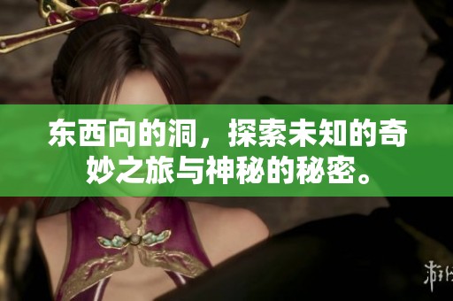 东西向的洞，探索未知的奇妙之旅与神秘的秘密。