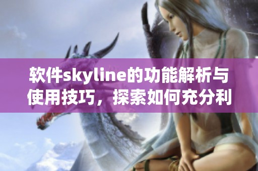 软件skyline的功能解析与使用技巧，探索如何充分利用skyline软件