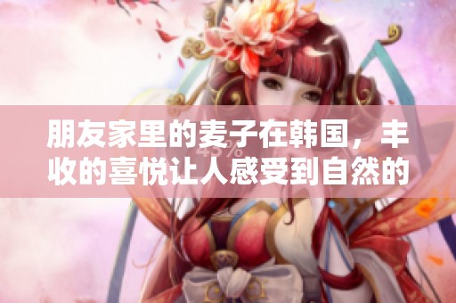 朋友家里的麦子在韩国，丰收的喜悦让人感受到自然的力量