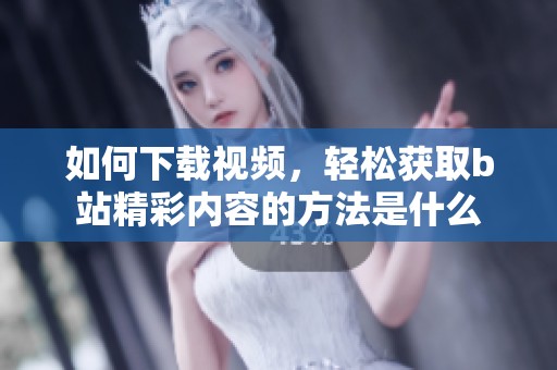 如何下载视频，轻松获取b站精彩内容的方法是什么