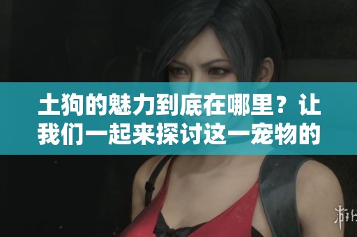 土狗的魅力到底在哪里？让我们一起来探讨这一宠物的独特之处。