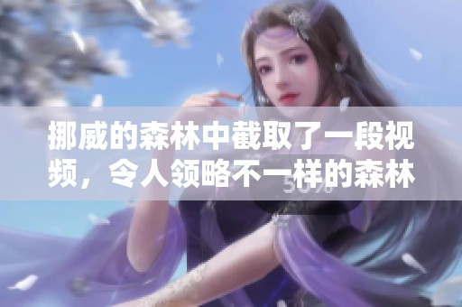 挪威的森林中截取了一段视频，令人领略不一样的森林之美