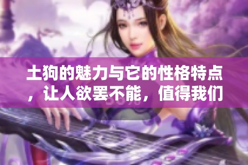 土狗的魅力与它的性格特点，让人欲罢不能，值得我们去了解和喜爱