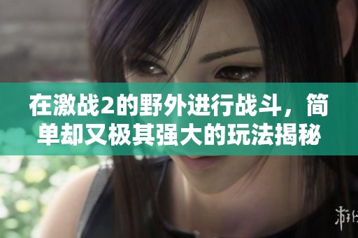 在激战2的野外进行战斗，简单却又极其强大的玩法揭秘